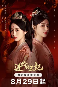 Tấn Giai Đích Vương Phi